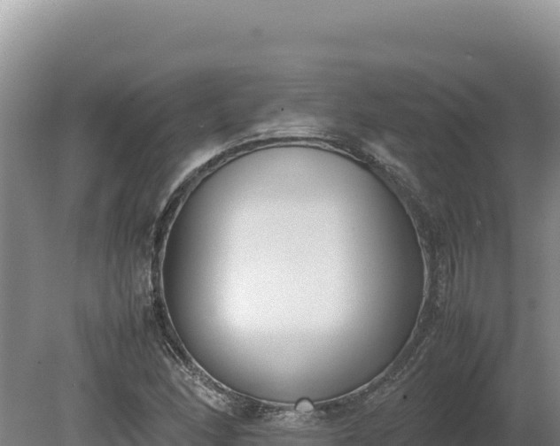 X0000080141166200612151757