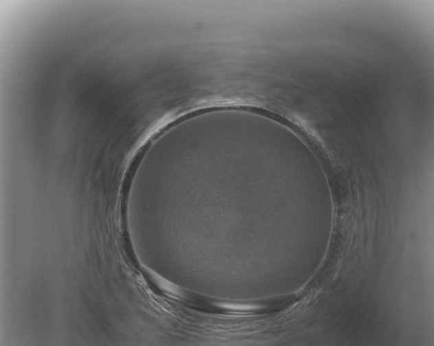 X0000080141173200612151756