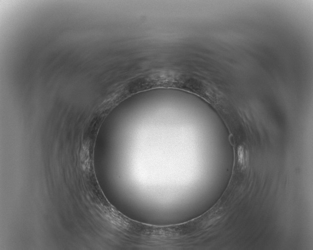 X0000080141203200612151755
