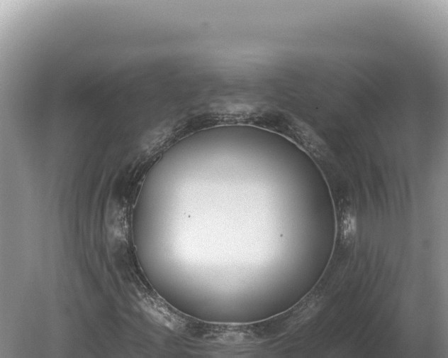 X0000080141204200612151755