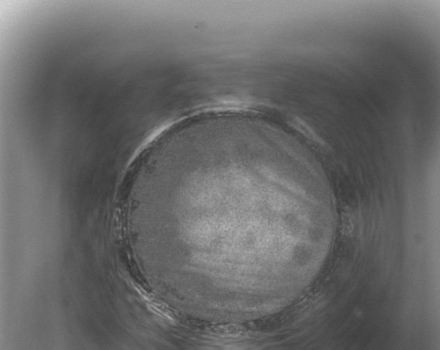 X0000080141208200612151755