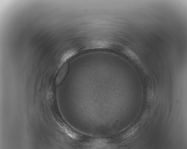 X0000080141210200612151755
