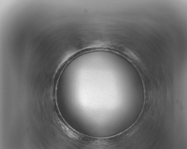 X0000080141216200612151755
