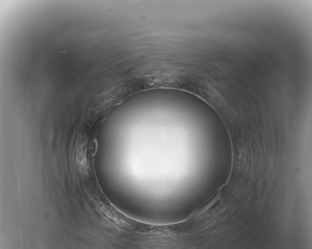 X0000080141250200612151755