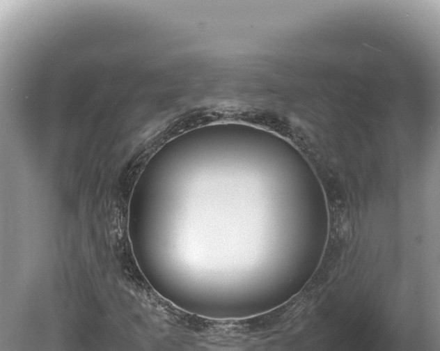 X0000080141253200612151755