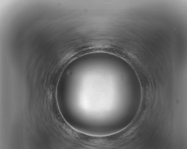 X0000080141257200612151755