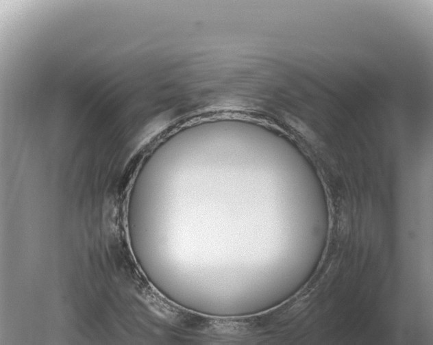 X0000080141258200612151755
