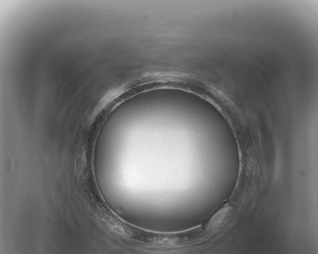 X0000080141261200612151755