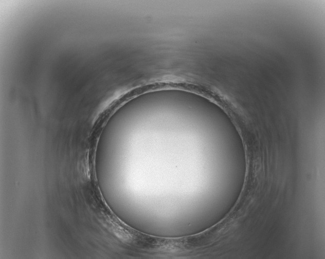 X0000080141262200612151755