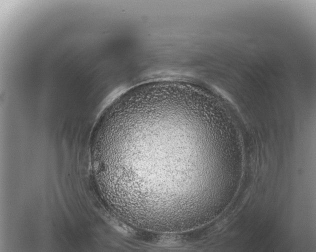 X0000080141267200612151755