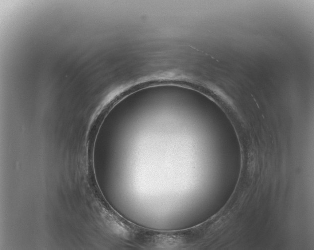 X0000080141270200612151755
