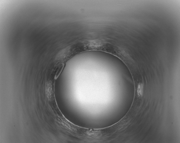 X0000080141299200612151754