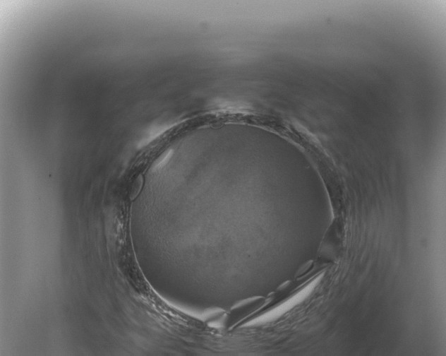 X0000080141303200612151754