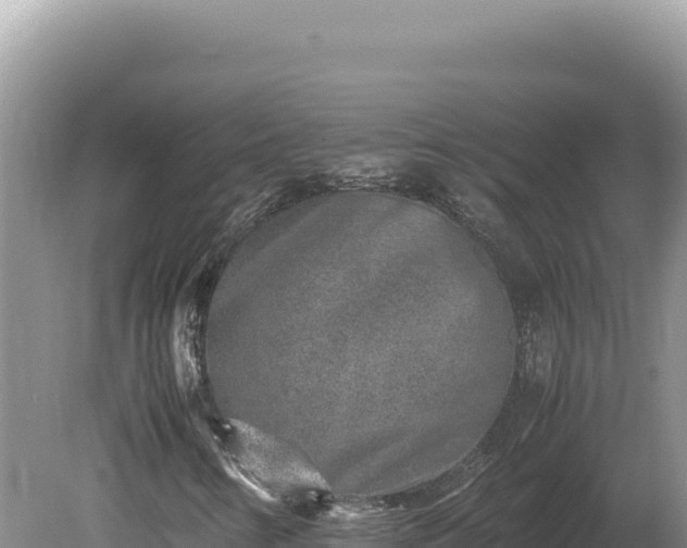 X0000080141346200612151754