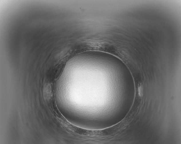 X0000080141347200612151754