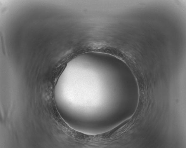 X0000080141349200612151753