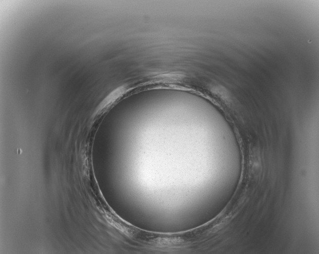 X0000080141354200612151753