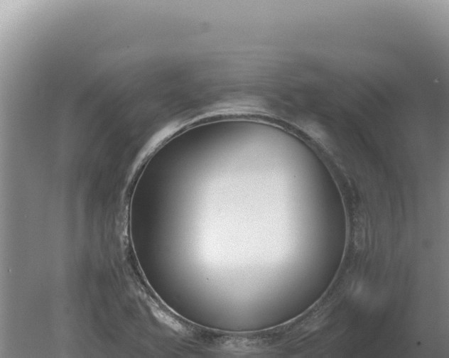 X0000080141366200612151753