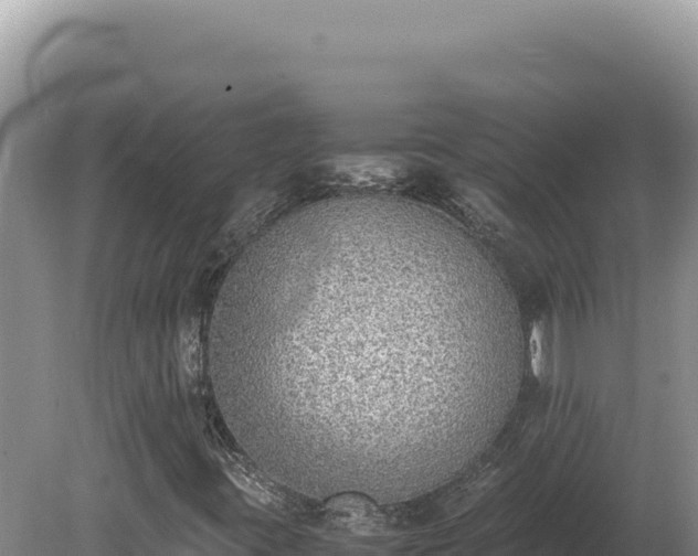X0000080141395200612151752