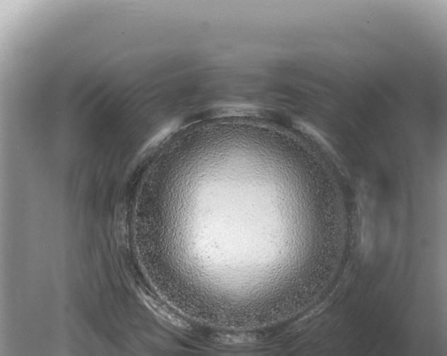 X0000080141403200612151752
