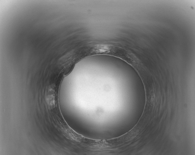 X0000080141442200612151752