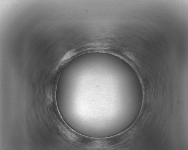 X0000080141451200612151752