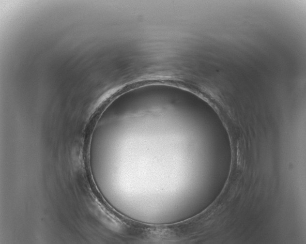 X0000080141452200612151752