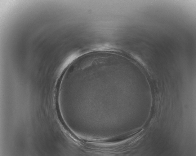 X0000080141463200612151752