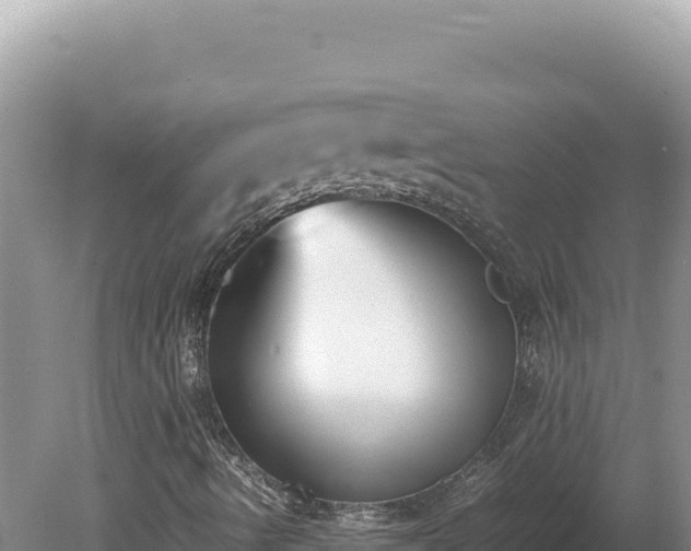 X0000080141490200612151750