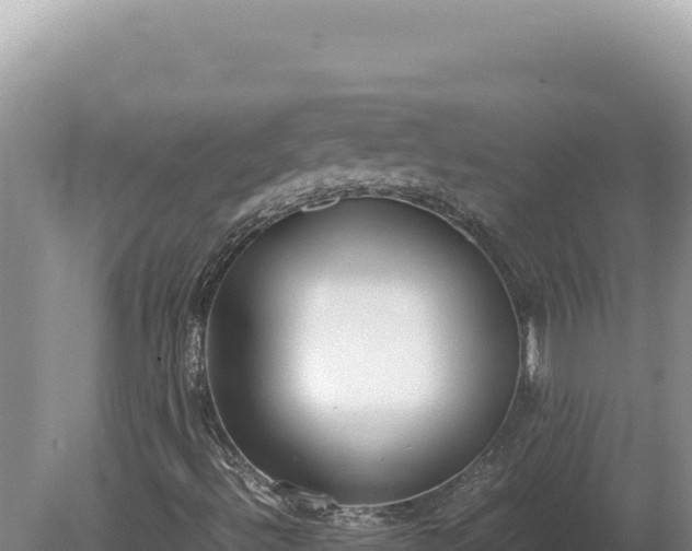X0000080141492200612151750