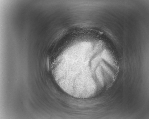 X0000080140022200612221935