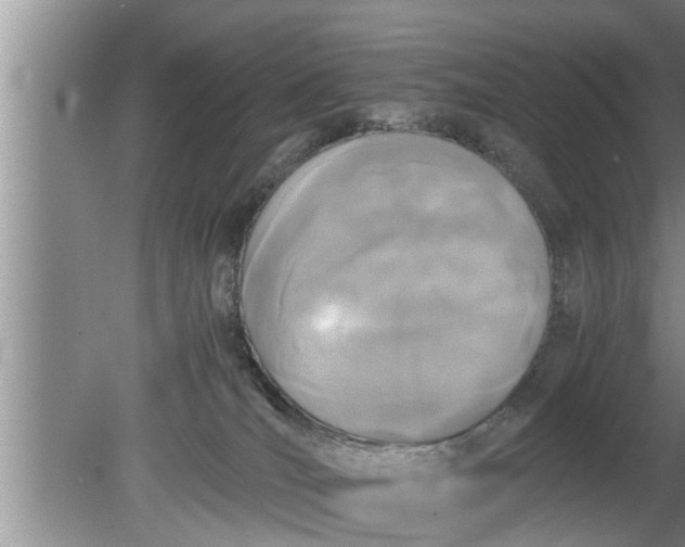 X0000080140036200612221934