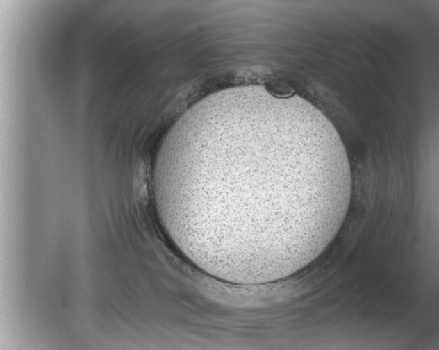 X0000080140038200612221934