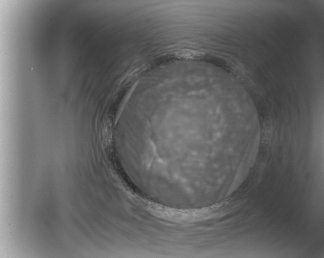 X0000080140043200612221934