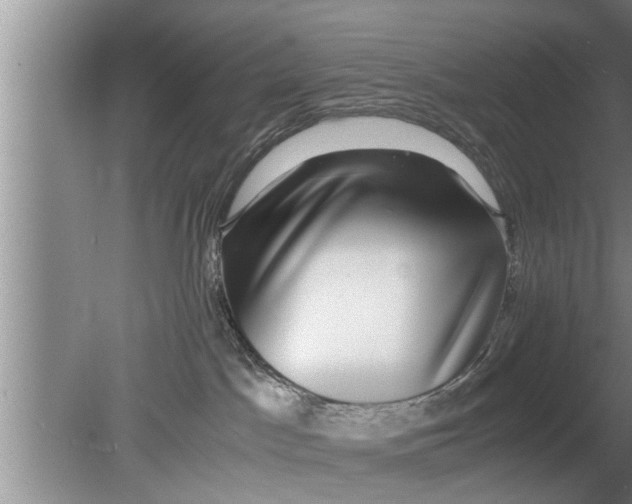 X0000080140045200612221934