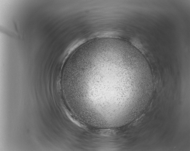 X0000080140050200612221934