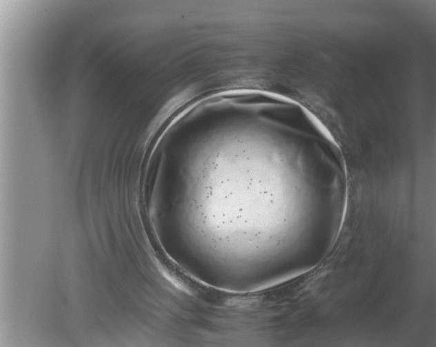 X0000080140051200612221934