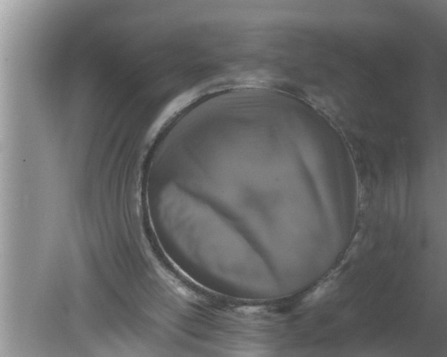 X0000080140054200612221934