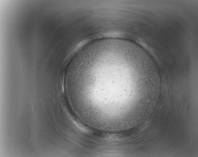 X0000080140062200612221934