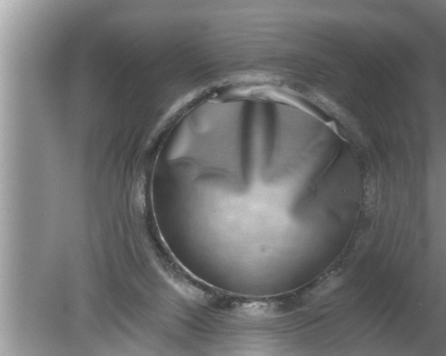 X0000080140064200612221934