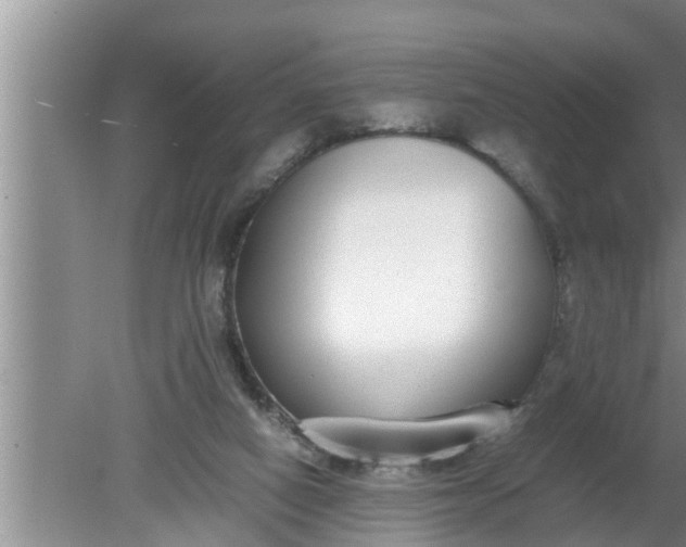 X0000080140066200612221934