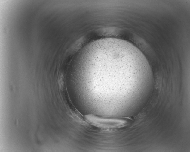 X0000080140077200612221934