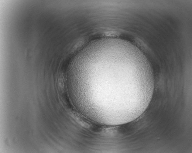 X0000080140078200612221934