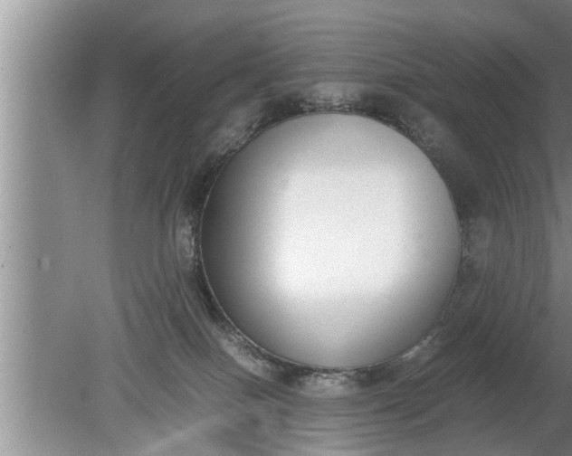 X0000080140086200612221934
