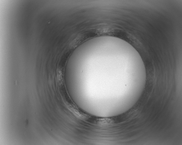 X0000080140087200612221934