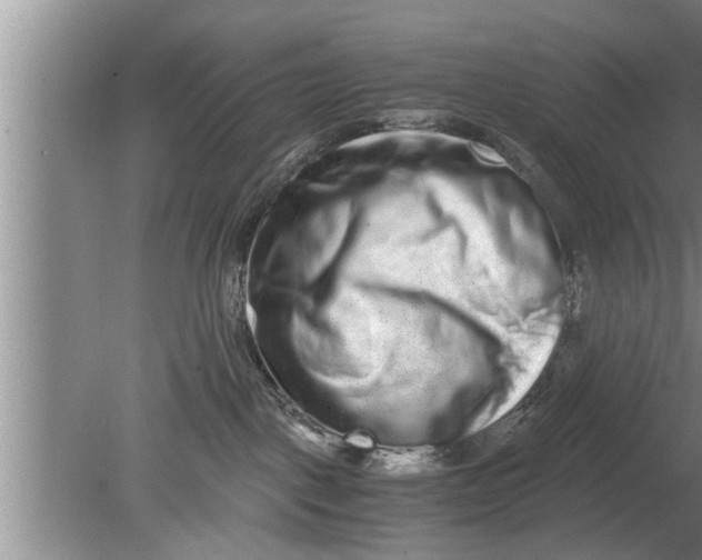 X0000080140093200612221934