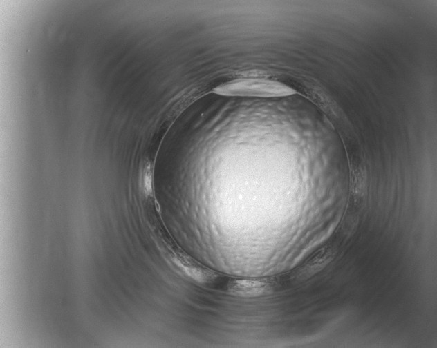 X0000080140095200612221934