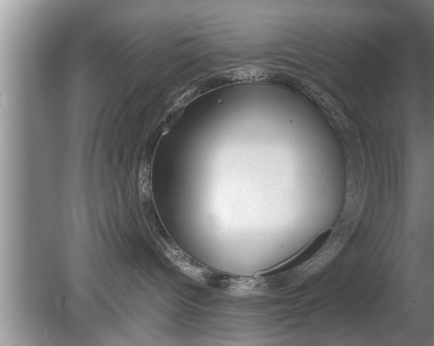 X0000080140096200612221934