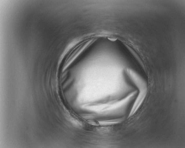 X0000080140102200612221933