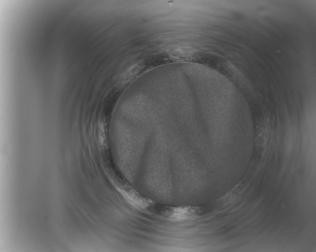 X0000080140130200612221933